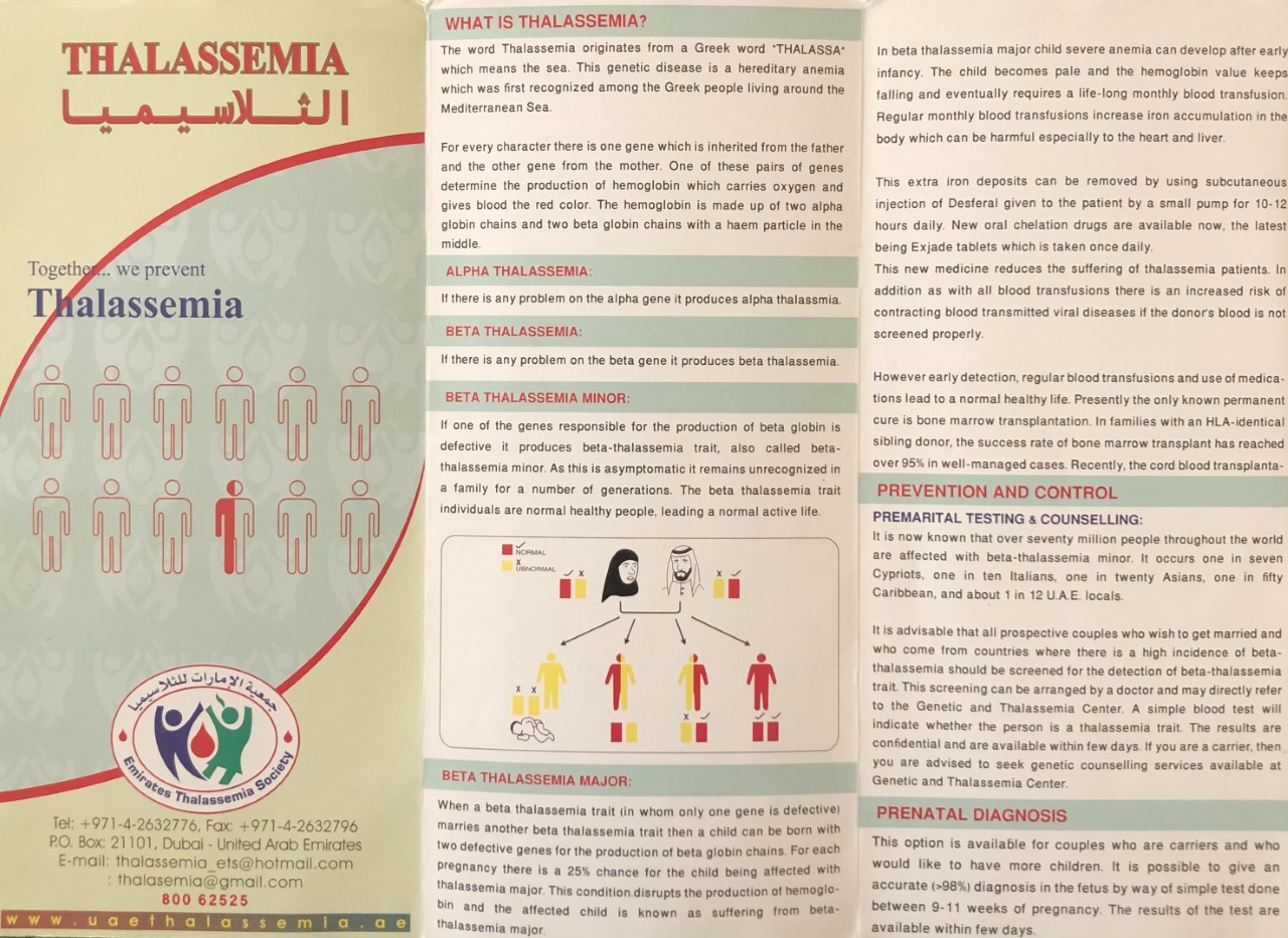 thalassemia brochure